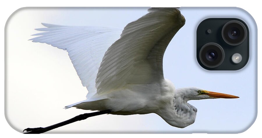 Great Egret iPhone Case featuring the photograph Great Egret Port Jefferson New York by Bob Savage