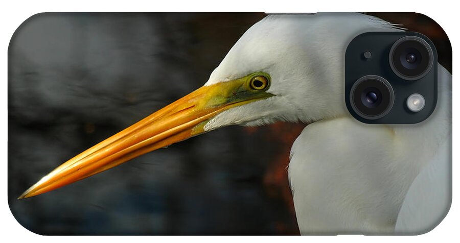 Snowy iPhone Case featuring the photograph Great Egret Portrait by Juergen Roth