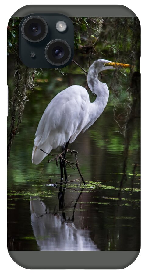 Great Egret iPhone Case featuring the photograph Great Egret Posing by Alicia BRYANT