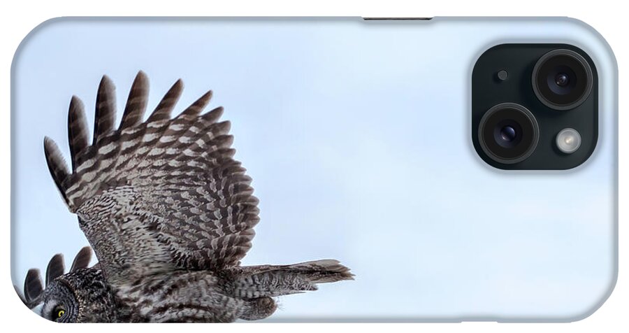 Bird iPhone Case featuring the photograph Great Gray Owl in Flight by Brook Burling