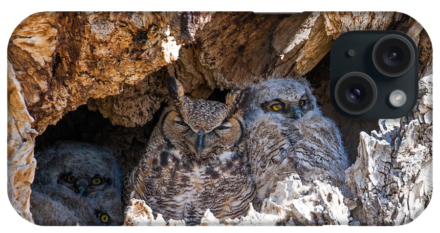Great Horned Owl iPhone Case featuring the photograph Great Great Horned Owl Mother by Mindy Musick King