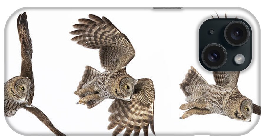 Bird iPhone Case featuring the photograph Great Grey Owl Hunting by Mircea Costina Photography