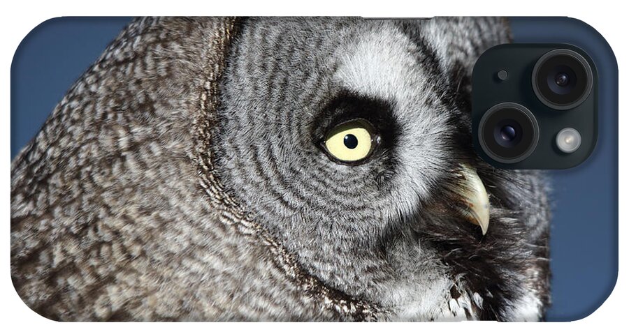 Great Grey Owl iPhone Case featuring the photograph Great Grey Owl by Maria Gaellman
