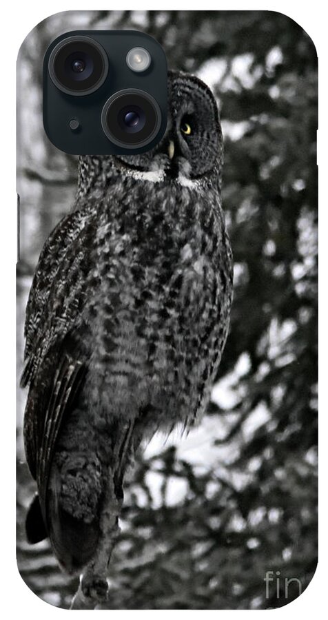 Photography iPhone Case featuring the photograph Great Grey Owl Portrait by Larry Ricker