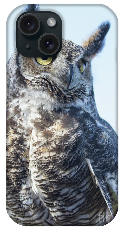 Great Horned Owl iPhone Case featuring the photograph Great Horned Owl 1 by Chris Scroggins