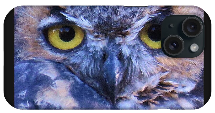 Great Horned Owl iPhone Case featuring the photograph Great Horned Owl Macro by Michele Penner