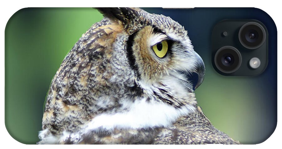 Great Horned Owl iPhone Case featuring the photograph Great Horned Owl Profile by Kathy Kelly