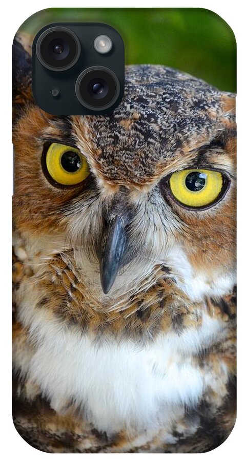 Owl iPhone Case featuring the photograph Great Horned Owl by Richard Bryce and Family