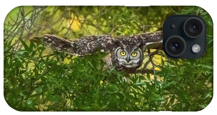 California iPhone Case featuring the photograph Great Horned Owl Take Off by Marc Crumpler