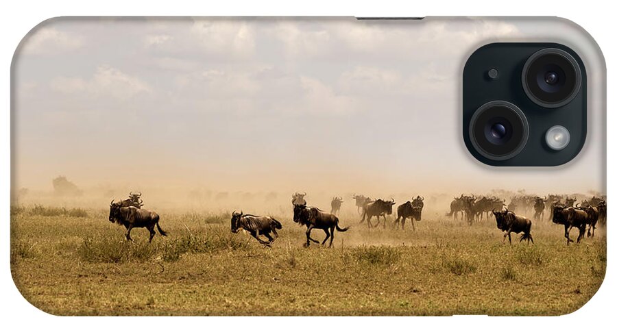 Migration iPhone Case featuring the photograph Great Migration by RicardMN Photography