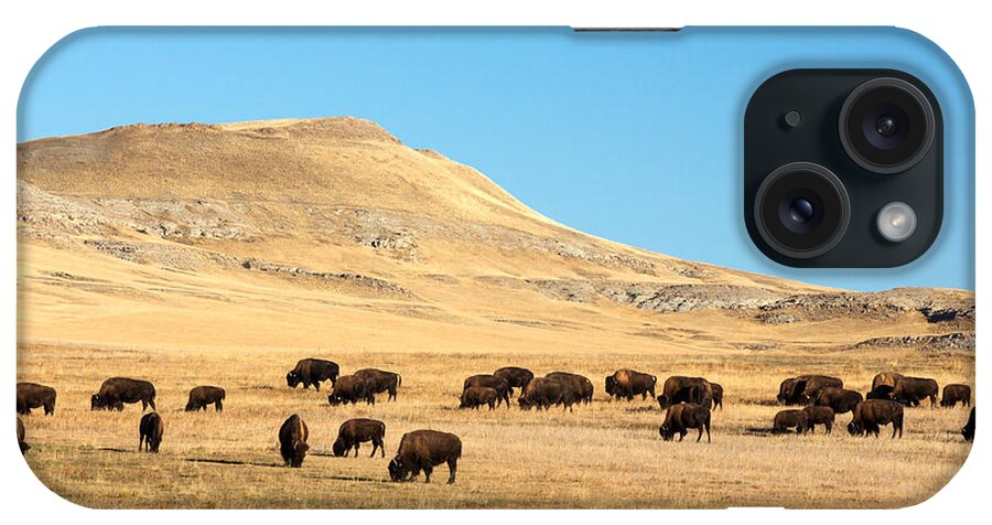 Buffalo iPhone Case featuring the photograph Great Plains Buffalo by Todd Klassy