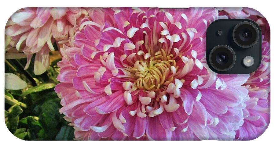 Flower iPhone Case featuring the photograph Great pleasure by Rosita Larsson