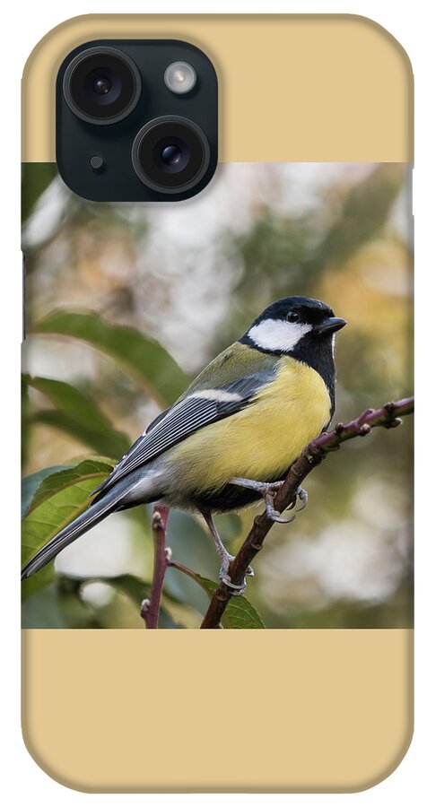 Nature iPhone Case featuring the photograph Great Tit by Wendy Cooper