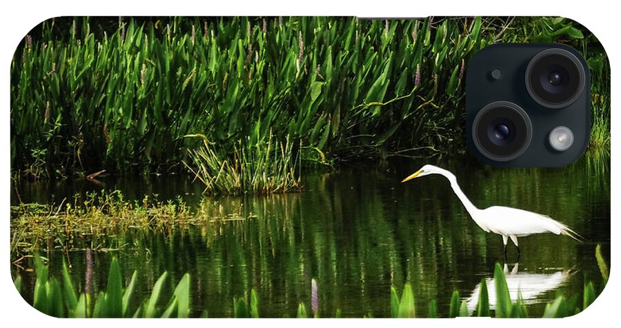 Florida iPhone Case featuring the photograph Great White Heron Green Cay Wetlands by Lawrence S Richardson Jr