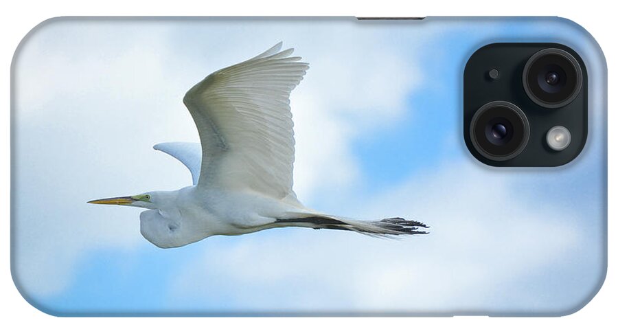 Great iPhone Case featuring the photograph Great White in Flight by Quinn Sedam