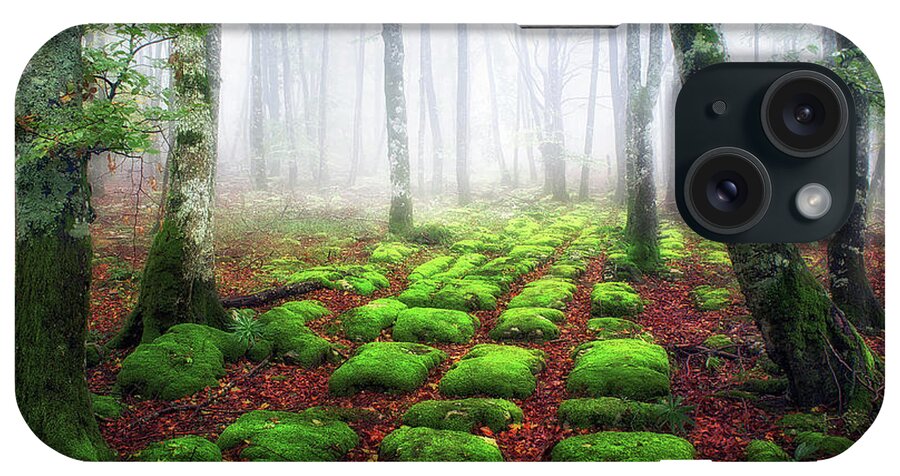 Forest iPhone Case featuring the photograph Green brick road by Mikel Martinez de Osaba