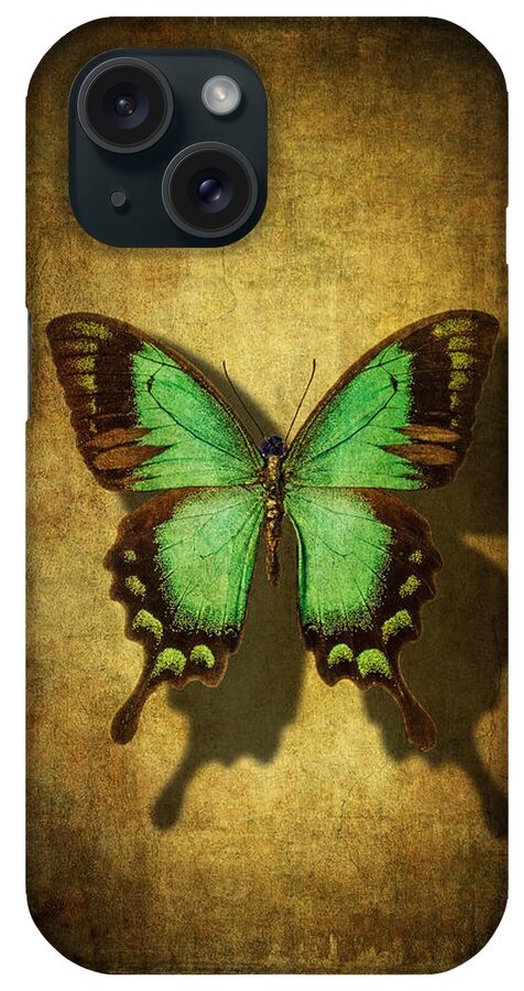 Still Life iPhone Case featuring the photograph Green Butterfly Shadow by Garry Gay