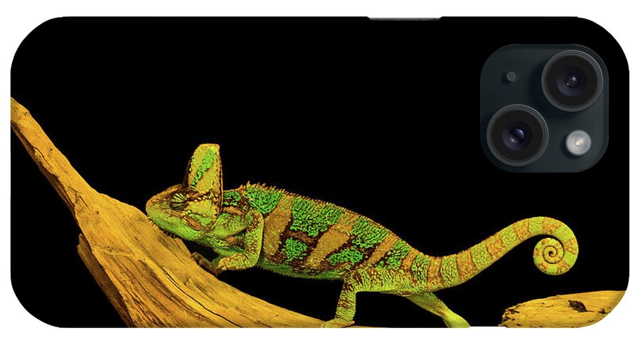 Background iPhone Case featuring the photograph Green Chameleon by Les Palenik
