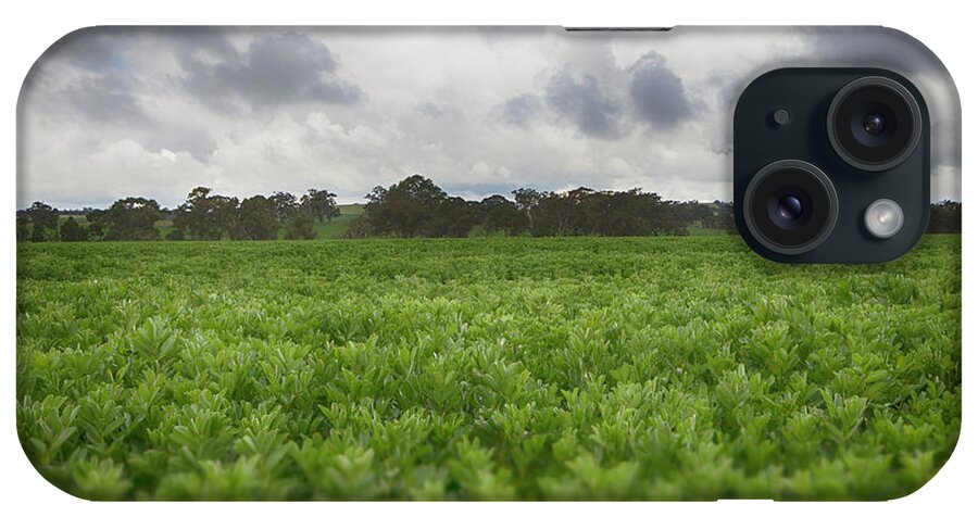 Green iPhone Case featuring the photograph Green Fields 4 by Douglas Barnard