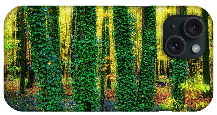 Trees iPhone Case featuring the photograph Green Five by John Hansen