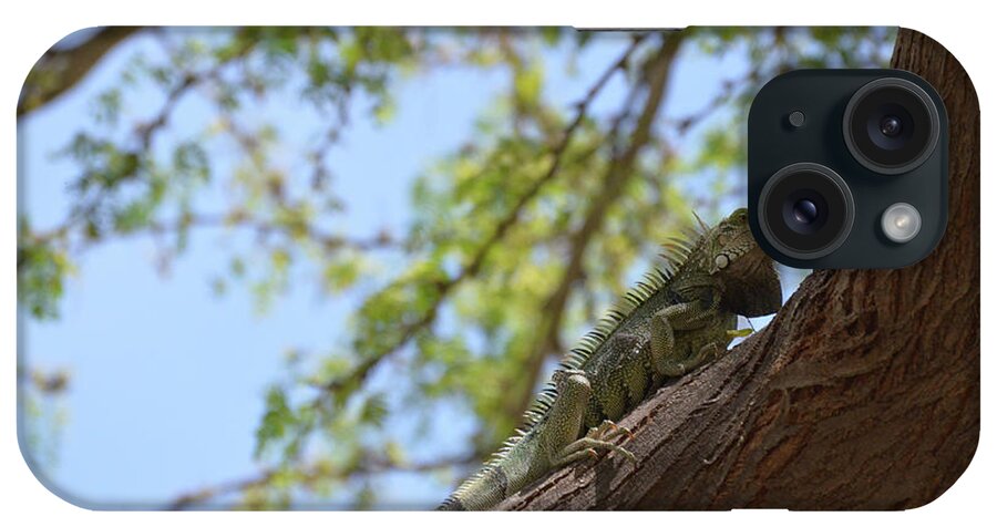 Iguana iPhone Case featuring the photograph Green Iguana Climbing up the Trunk of a Tree by DejaVu Designs