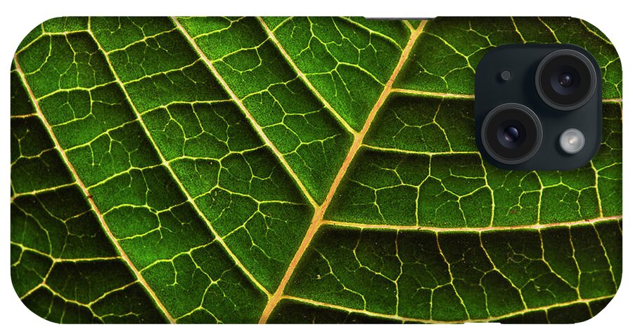 Green iPhone Case featuring the photograph Green Leaf Macro by Morgan Wright