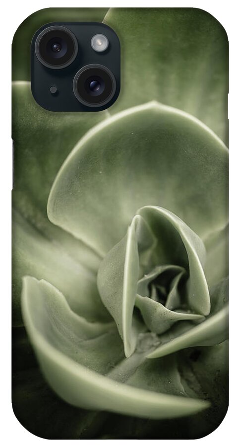 Beauty In Nature iPhone Case featuring the photograph Green Leaves Abstract III by Marco Oliveira