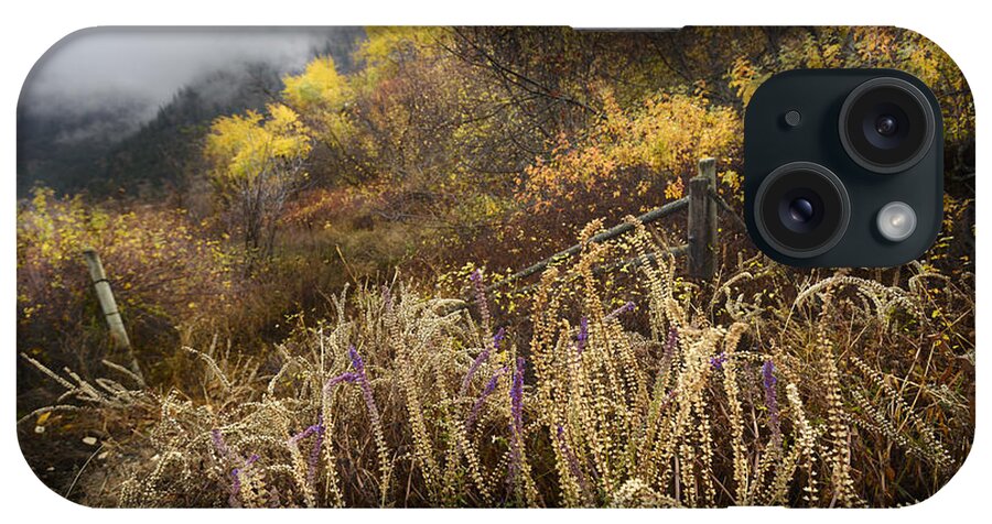 Autumn iPhone Case featuring the photograph Green Mountain Dawn by John Poon