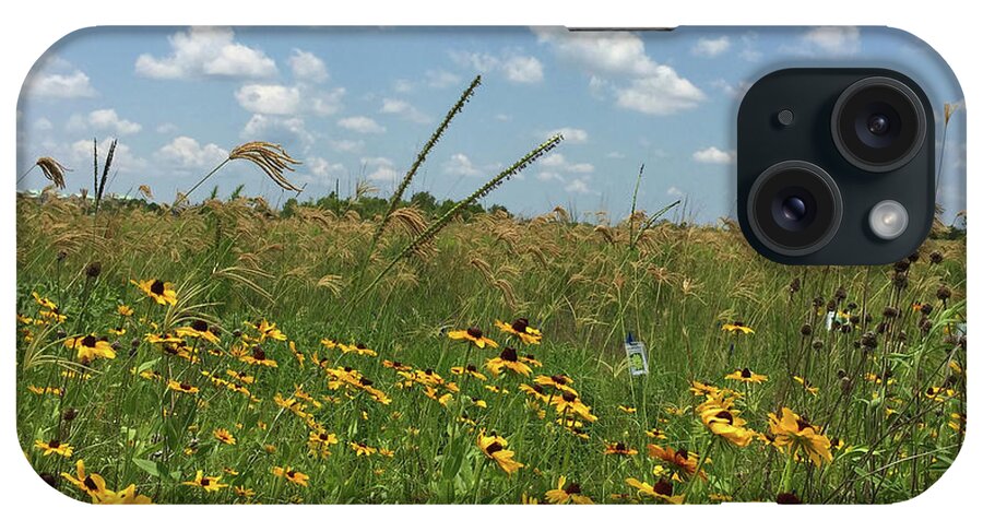 Heaven iPhone Case featuring the photograph Greener Pastures In Heaven by Matthew Seufer