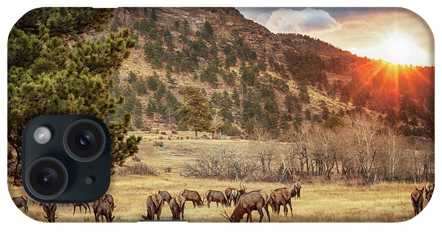 Elk iPhone Case featuring the photograph Greeting a New Day by Susan Rissi Tregoning