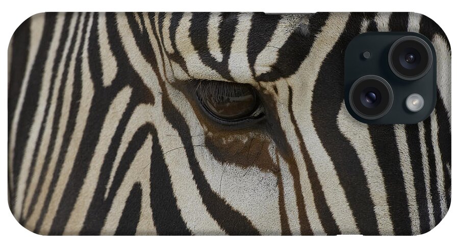 Mp iPhone Case featuring the photograph Grevys Zebra Equus Grevyi Close by Zssd