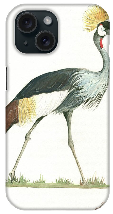 Grey Crowned Crane iPhone Case featuring the painting Grey Crowned crane by Juan Bosco