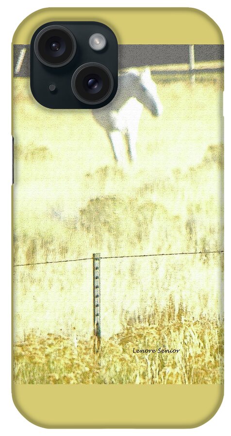 Abstract iPhone Case featuring the photograph Greyboy - Abstracted by Lenore Senior