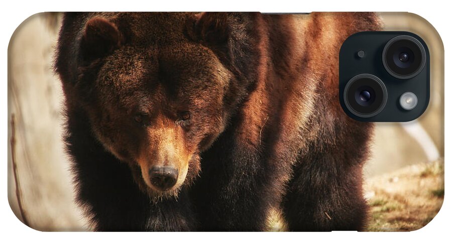 Grizzly Bear iPhone Case featuring the photograph Grizz In Motion by Karol Livote