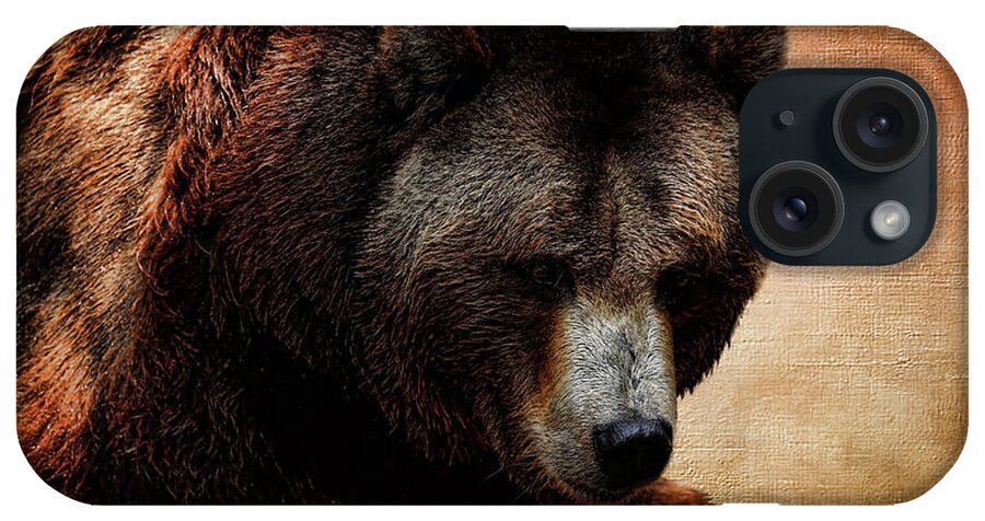 Grizzly Bear iPhone Case featuring the photograph Grizzly Bear by Judy Vincent