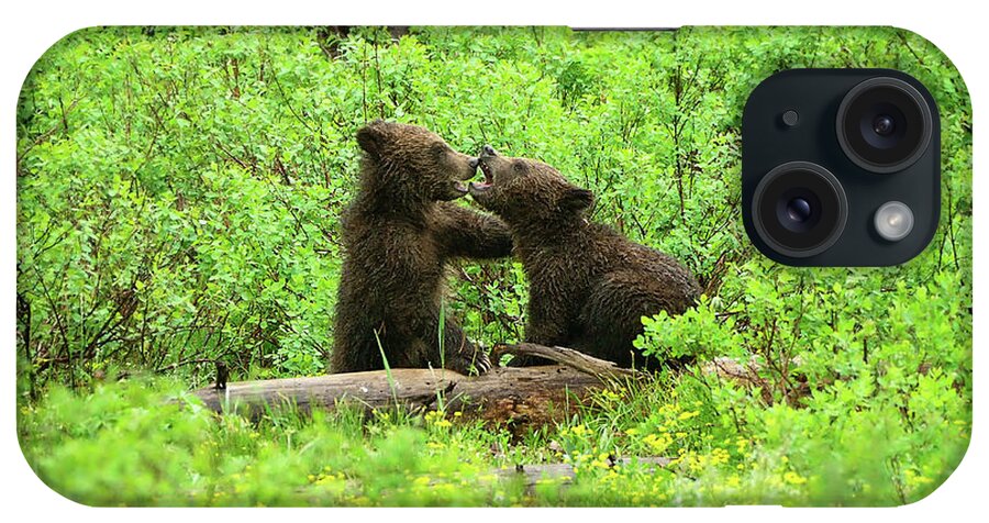 Grizzly iPhone Case featuring the photograph Grizzly Cubs At Play by Greg Norrell
