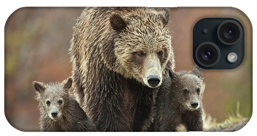 Grizzly iPhone Case featuring the photograph Grizzly Family by Wesley Aston