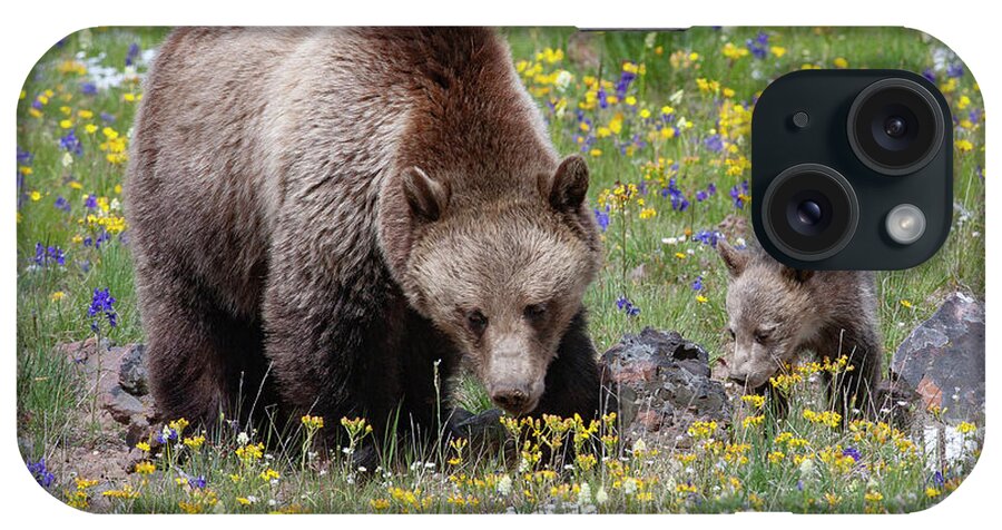 Mark Miller Photos iPhone Case featuring the photograph Grizzly Sow and Cub in Summer Flowers by Mark Miller