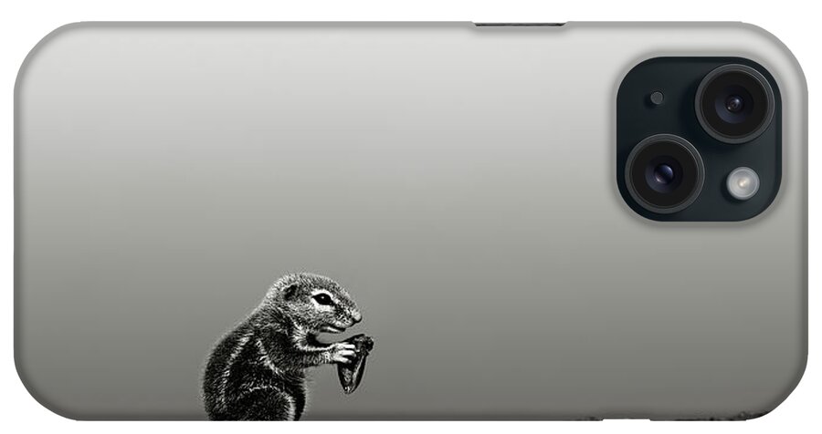 Squirrel; Ground; Feed; Eat; Hold; Food; Nut; Seed; Desert; Dune; Art; Artistic; Monochrome; Black; White; B&w; Inaurus; Inquisitive; Mammal; Animal; Small; Sand; Sit; Little; Rodent; Upright; Watchful; Wild; Wildlife; Xerus; Kalahari; Africa iPhone Case featuring the photograph Ground squirrel by Johan Swanepoel