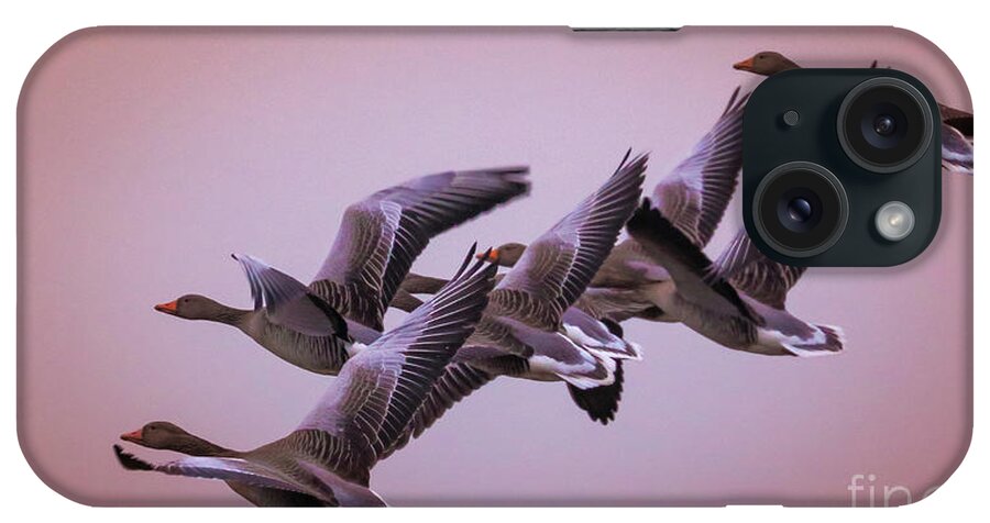 Goose iPhone Case featuring the photograph Group Flight by Franziskus Pfleghart