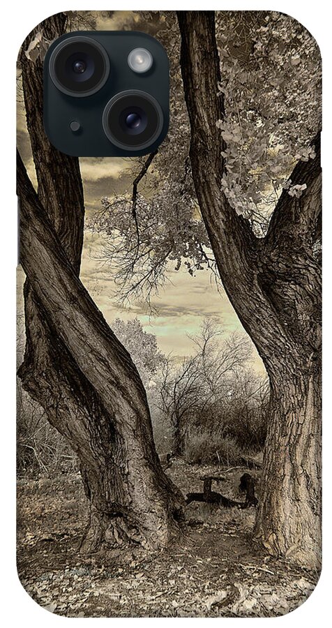Cottonwood Trees iPhone Case featuring the photograph Growing Old Together by Michael McKenney
