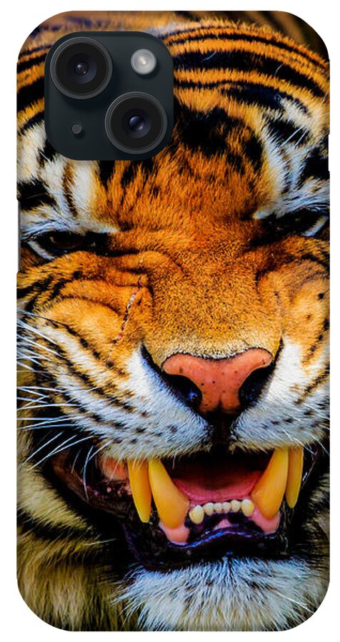 Animal iPhone Case featuring the photograph Growling Tiger by Ray Shiu