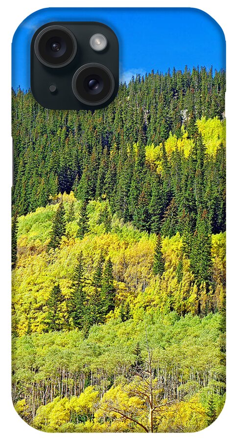Guanella Pass iPhone Case featuring the photograph Guanella Pass Study 2 by Robert Meyers-Lussier