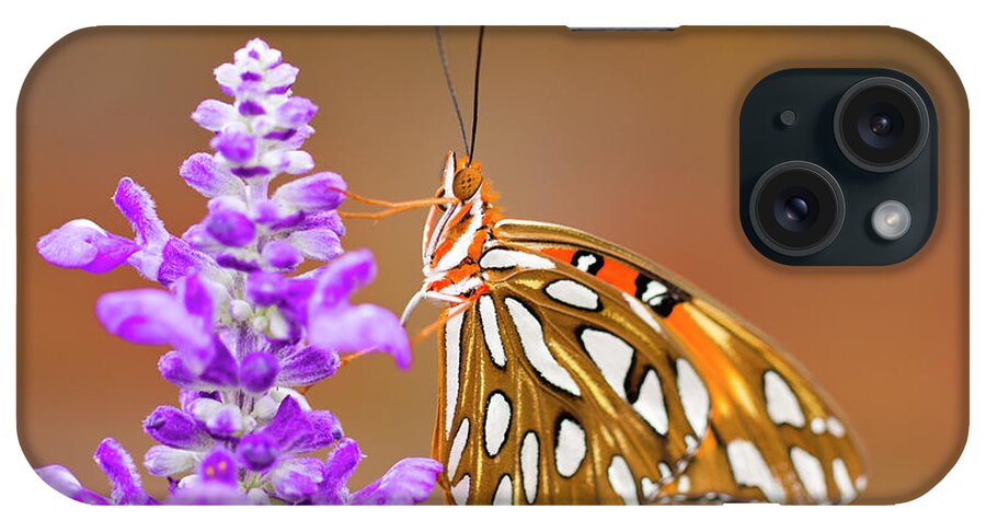 Butterfly iPhone Case featuring the photograph Gulf Fritillary by Shelley Neff