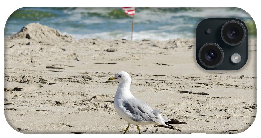 Beach iPhone Case featuring the photograph Gull and Flag Rockaway Beach by Maureen E Ritter