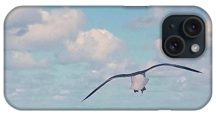Seagulls iPhone Case featuring the photograph Gull Getaway by Suzy Piatt