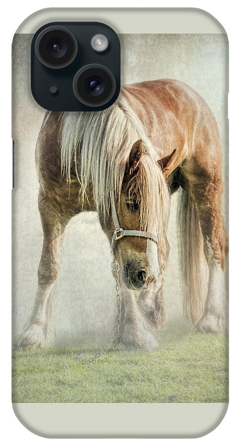Gypsy Horse iPhone Case featuring the photograph Gypsy in morning mist. by Brian Tarr