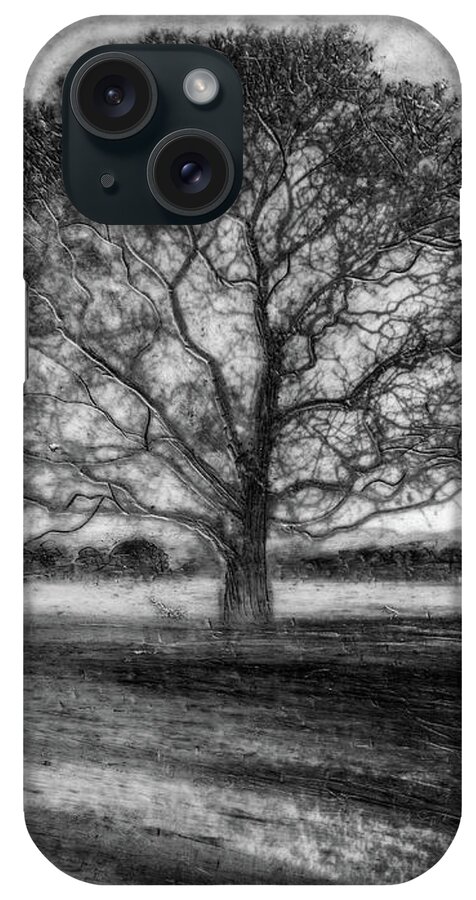 Trees iPhone Case featuring the mixed media Hagley Tree 2 by Roseanne Jones