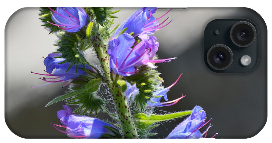 Flower iPhone Case featuring the photograph Hairy Flower by Lyle Crump