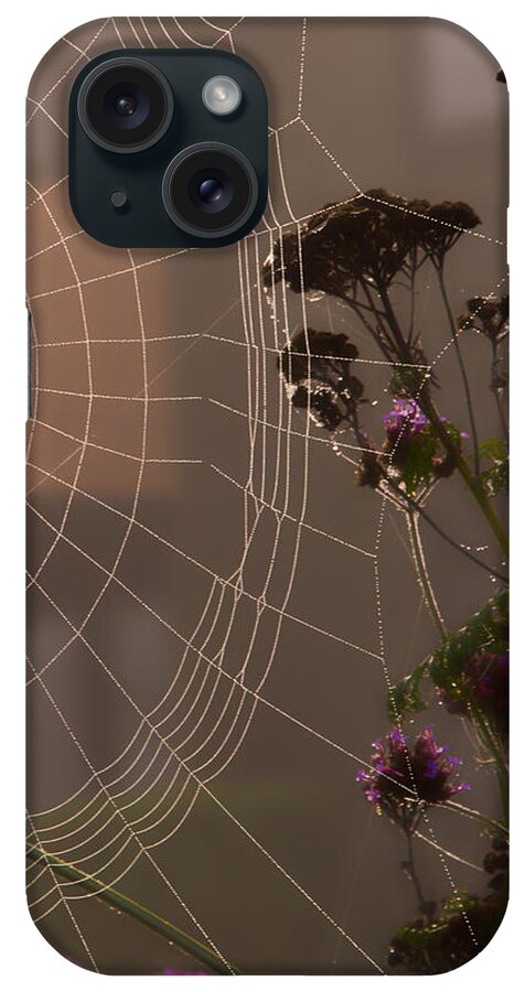 Spiderweb iPhone Case featuring the photograph Half a Web by Gary Karlsen